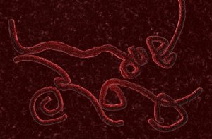 ebola-virus-670